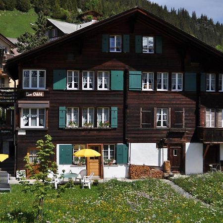 Studio Bim Chalet Bim Chilchli Mürren Eksteriør billede